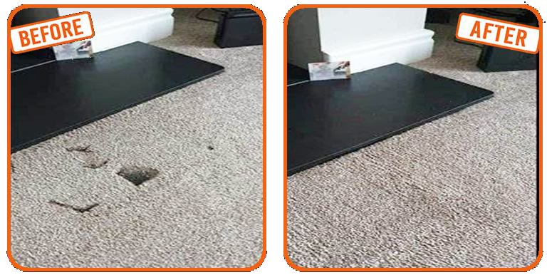 Burn in Carpet Repair Lauderdale Lakes