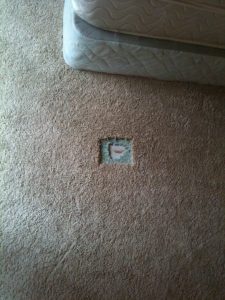 Carpet Burn Repair Boca