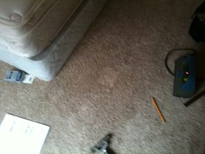 Carpet Burn Repair After