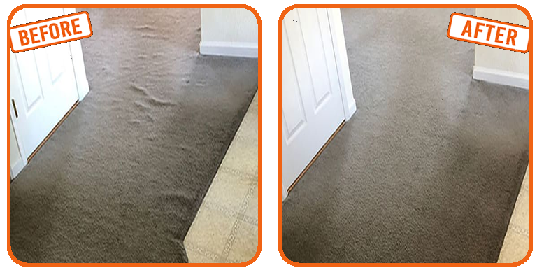 Carpet Repair & Stretch in Dania Beach