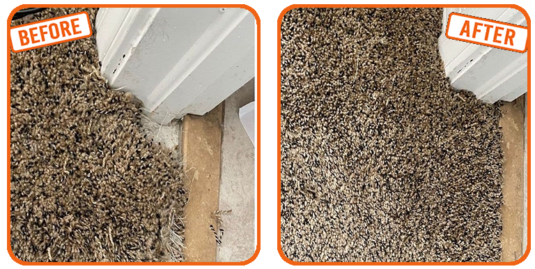 Carpet Repair in Davie