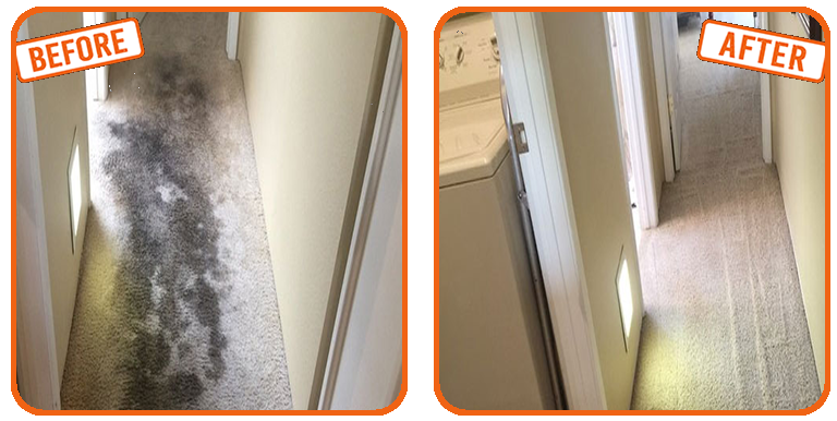 Carpet Repair in West Park