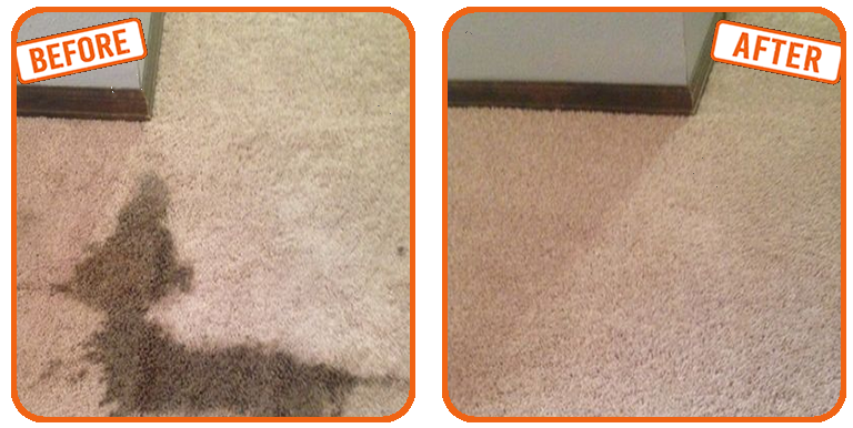 Carpet Patching in Wilton Manors