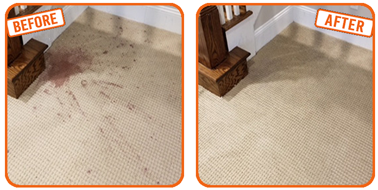 Stain Removal in Lauderhill
