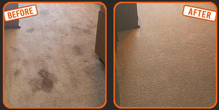 Carpet Stain Removal Pompano Beach